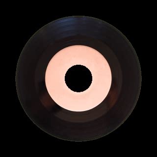 Hoornse vinylliefhebber start online platenzaak .